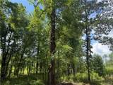 5 Samson Clements Loop Road - Photo 1