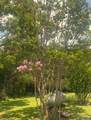 17737 Hwy 43 - Photo 11