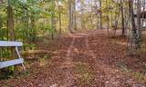 11919 Weeping Willow Road - Photo 9