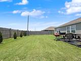 11572 Linna Lane - Photo 47