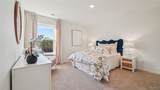 3815 Magnolia Hills Drive - Photo 15