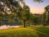 13114 Lake Arnedra Road - Photo 6