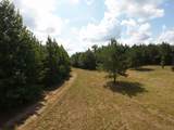 00 Gary Nichols Drive - Photo 3