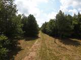 00 Gary Nichols Drive - Photo 4