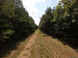 00 Gary Nichols Drive - Photo 5