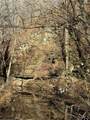 10959 Evanstown Rd - Photo 3
