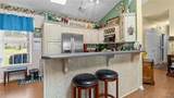 6527 Hibiscus Lane - Photo 7
