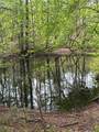0 Samson Clements Loop Rd - Photo 2