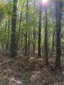 16170 Tilly Branch Road - Photo 11