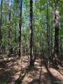 16170 Tilly Branch Road - Photo 12