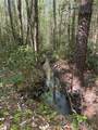 16170 Tilly Branch Road - Photo 13