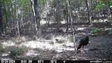 16170 Tilly Branch Road - Photo 15
