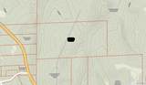 16170 Tilly Branch Road - Photo 21