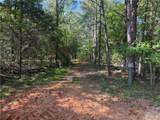 16170 Tilly Branch Road - Photo 3