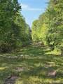 16170 Tilly Branch Road - Photo 4