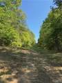 16170 Tilly Branch Road - Photo 5