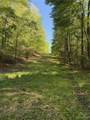 16170 Tilly Branch Road - Photo 6