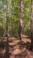 16170 Tilly Branch Road - Photo 7