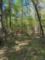 16170 Tilly Branch Road - Photo 9