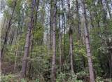 01 New Hope Road - Photo 13