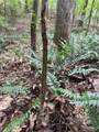 00 Bethabara Road - Photo 22