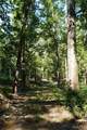 15741 Lake Harbor Drive - Photo 5