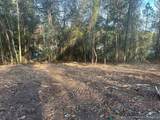 Lot 63 Blue Pine Circle - Photo 1