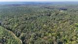 520 Schultz Creek Rd - Photo 15