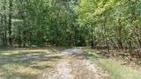 520 Schultz Creek Rd - Photo 9
