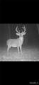 5706 County Road 89 - Photo 48