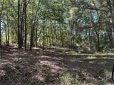 97 Highway 17 - Photo 2