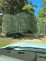 97 Highway 17 - Photo 4