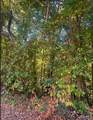 Lot 84 East Lake Drive - Photo 3