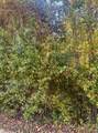 Lot 85 East Lake Drive - Photo 2