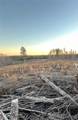00 Wheat Road - Photo 3