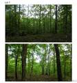 5890 Garner Road - Photo 1