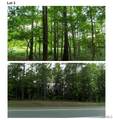6030 Garner Road - Photo 1