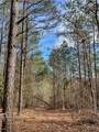 16717 Graham Road - Photo 5