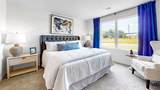 3905 Magnolia Hills Drive - Photo 9