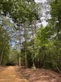 17796 Dry Branch Loop - Photo 63