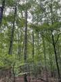 17796 Dry Branch Loop - Photo 68