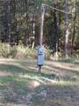 911 Southern Sportsman Road - Photo 19