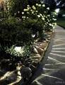3631 Morgans Run Parkway - Photo 51