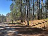 6.1 acres Bent Twig Lane - Photo 4