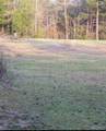 5909 County Road 191 - Photo 7