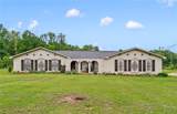 11316 Marion Oaks Drive - Photo 2