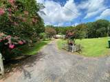 13156 Olivewood Road - Photo 5