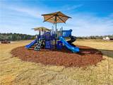 13742 Blackoak Drive - Photo 32