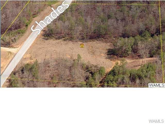 27 Shades Creek Dr Drive - Photo 1