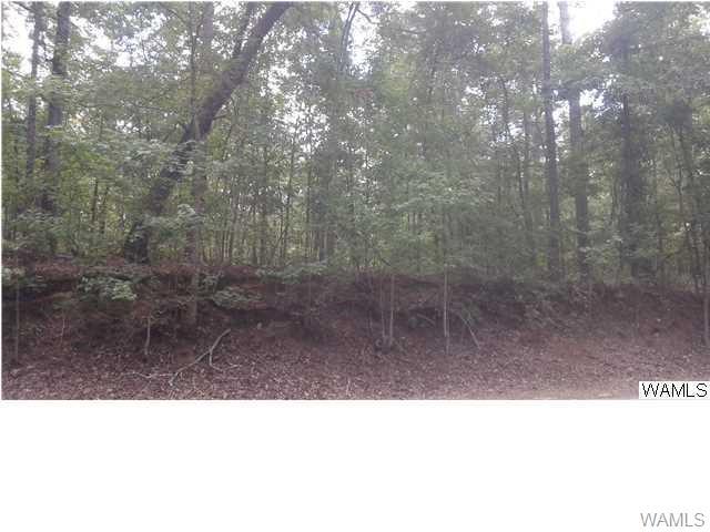 00 Lake Lurleen - Photo 1